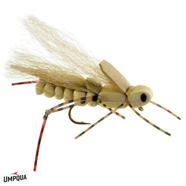 Sweetgrass Hopper (6-pack)