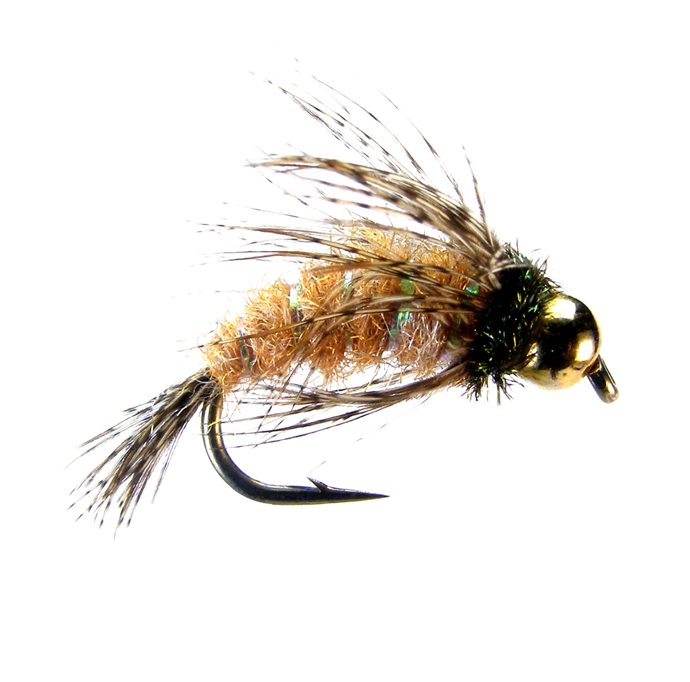 Anderson Bird of Prey (6-pack)