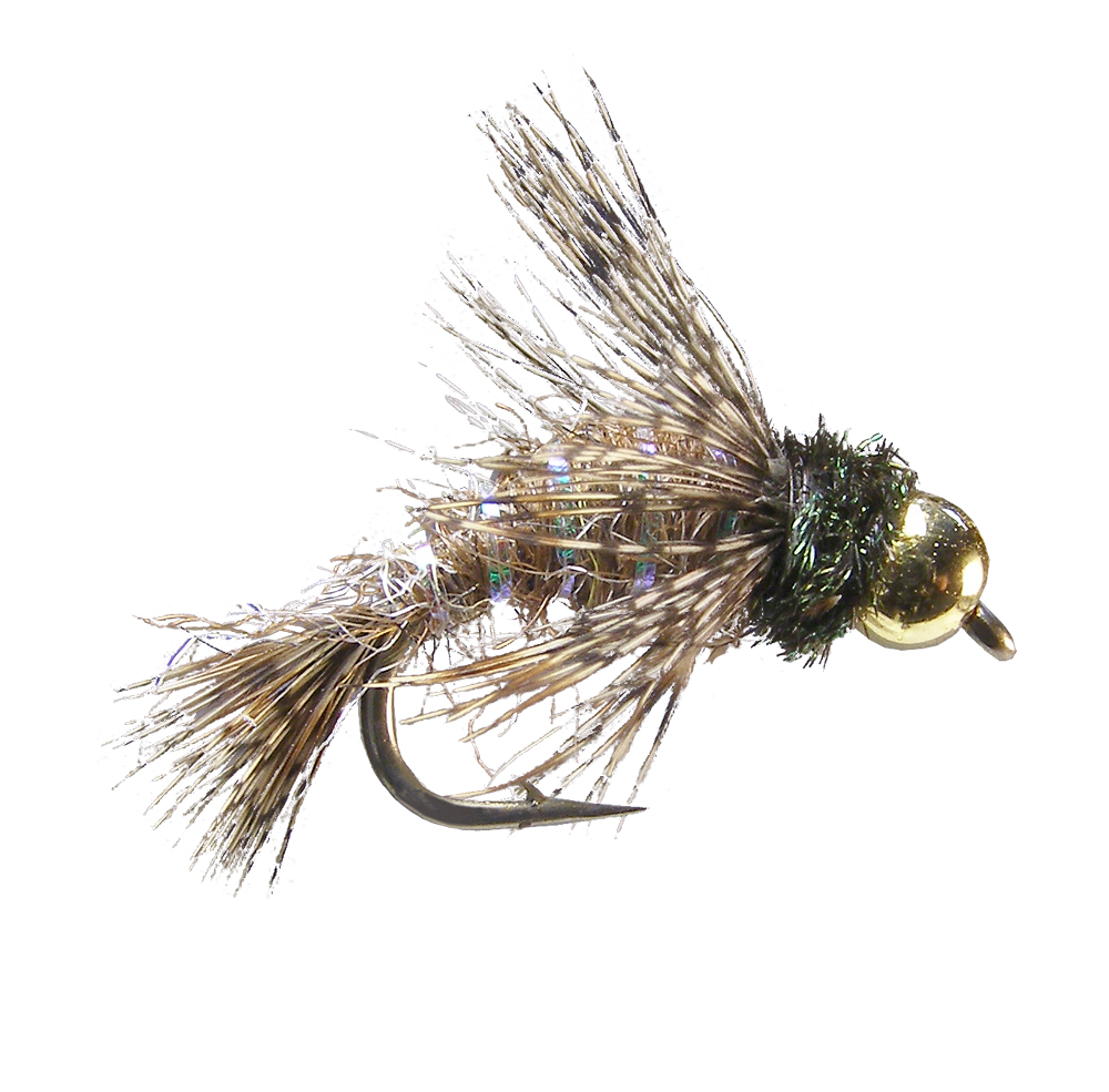 Anderson Bird of Prey (6-pack)