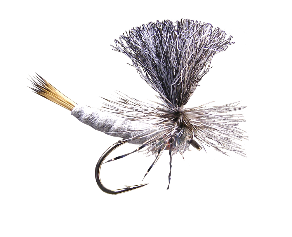 Trina's Carnage Drake (6-pack)